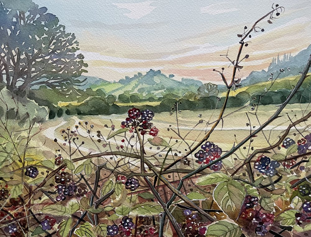 Ripe Blackberries Landscape