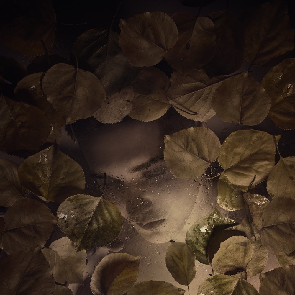 Melancholy Leaf Embrace