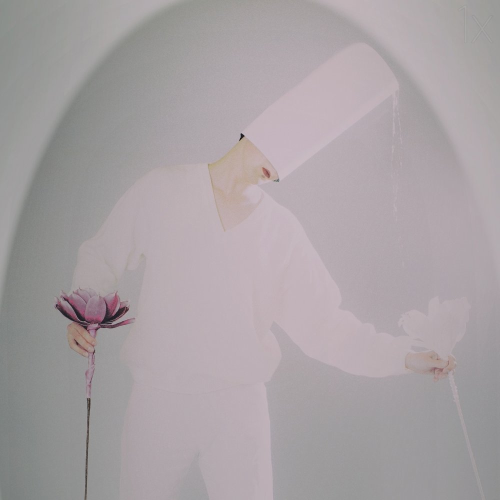 Surreal Lotus Care