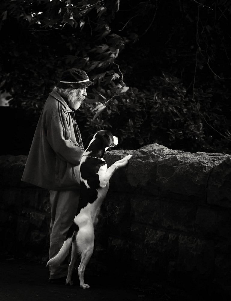 Old Man and Loyal Dog