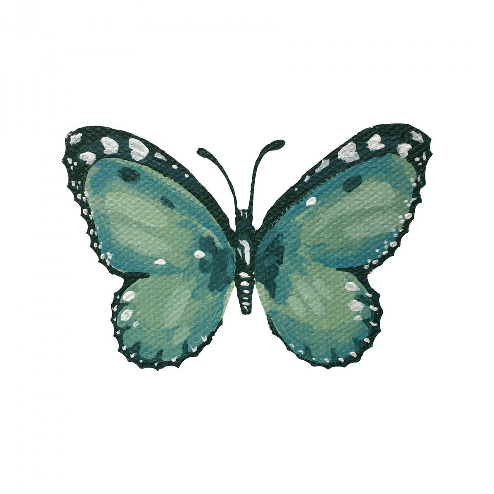 Elegant Teal Butterfly