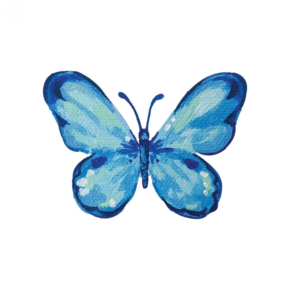 Blue Watercolor Butterfly