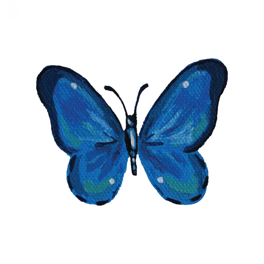 Ultramarinebluepap