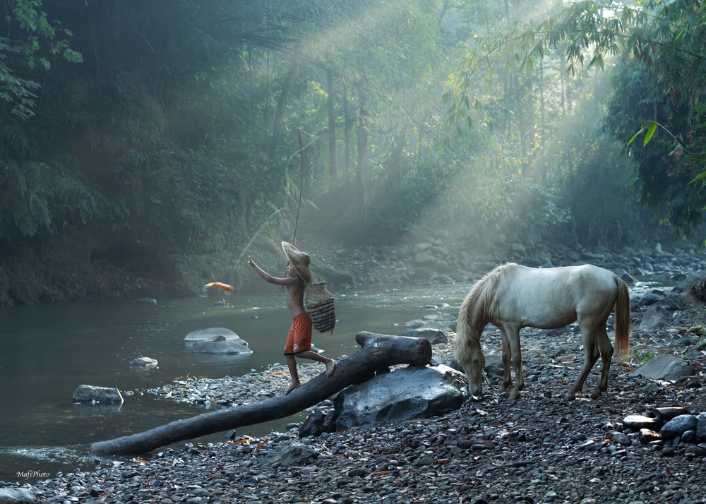 Misty River Morning