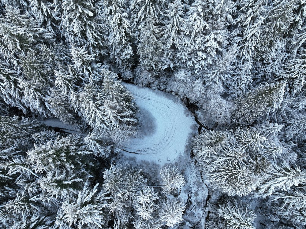 Winding Snowy Forest Road