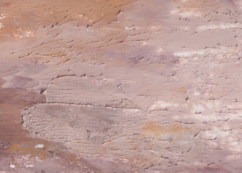 Dry Earth Textures