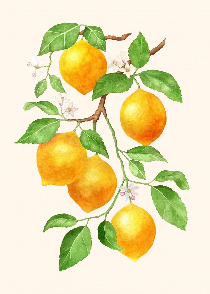 Vibrant Lemon Branch