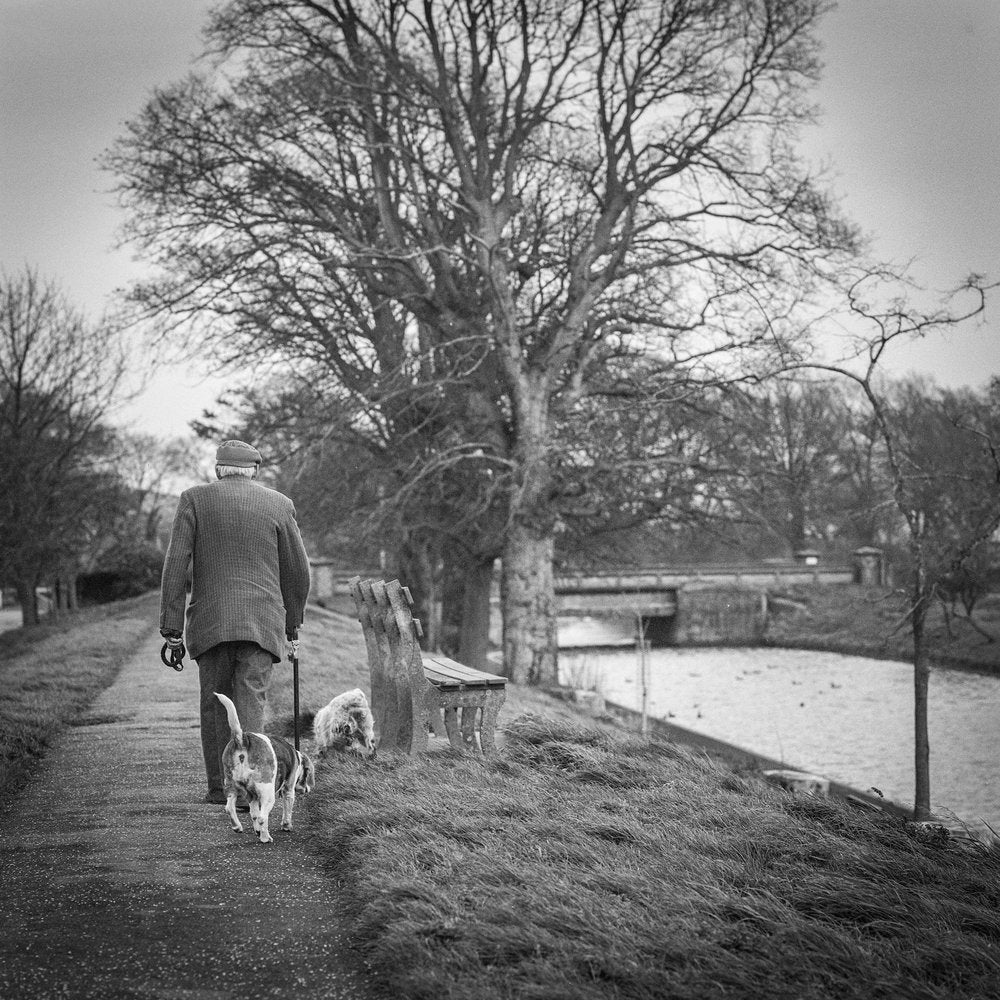 Man and Dogs Winter Walk