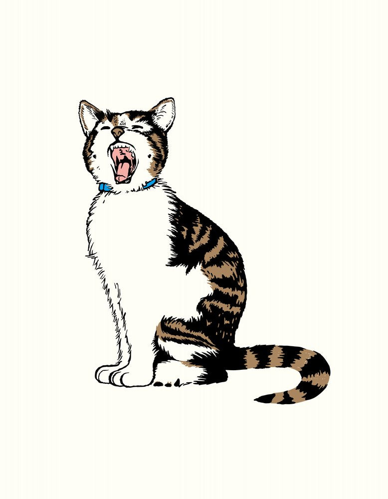 Sleepy Tabby Cat Yawn