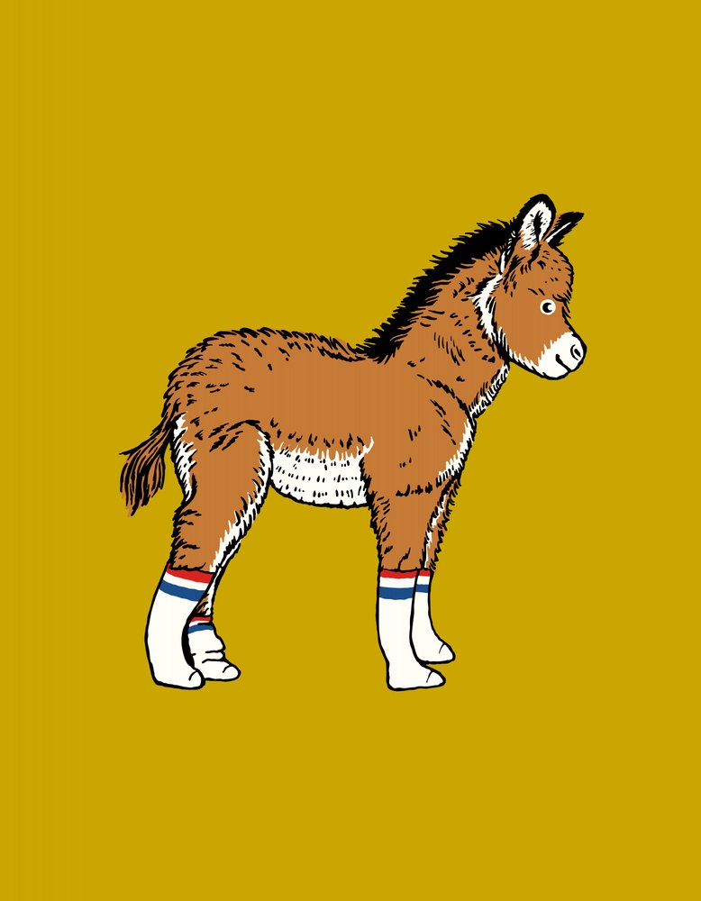Cute Donkey in Striped Socks