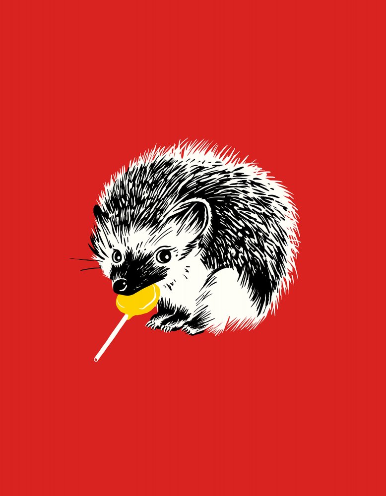 Cute Hedgehog Lollipop