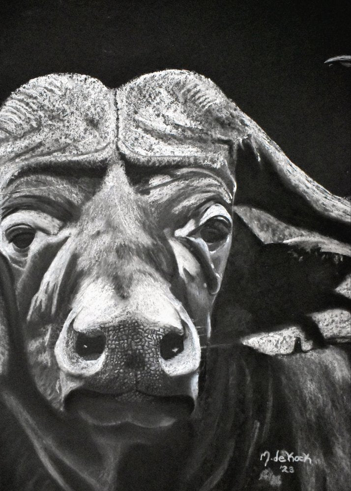 Bufalo