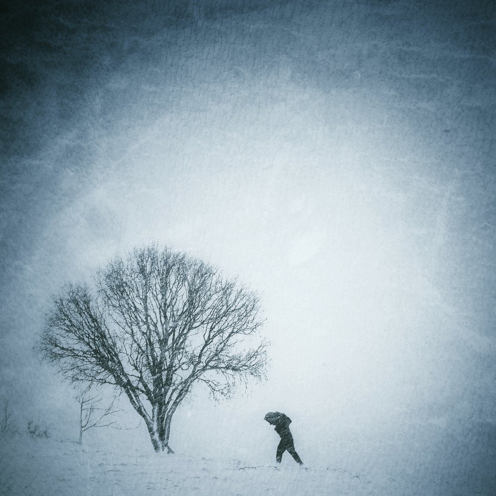 Solitary Winter Journey