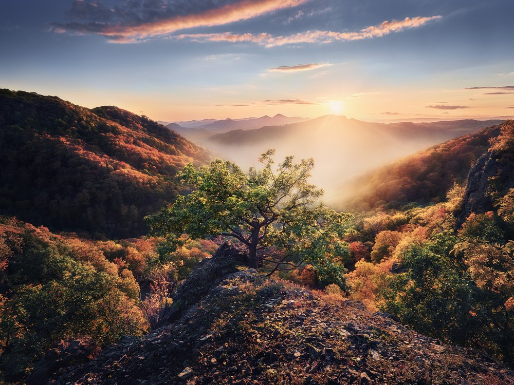 Golden Autumn Sunrise