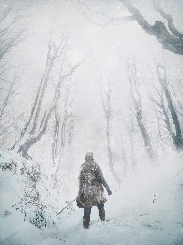 Winter Forest Journey