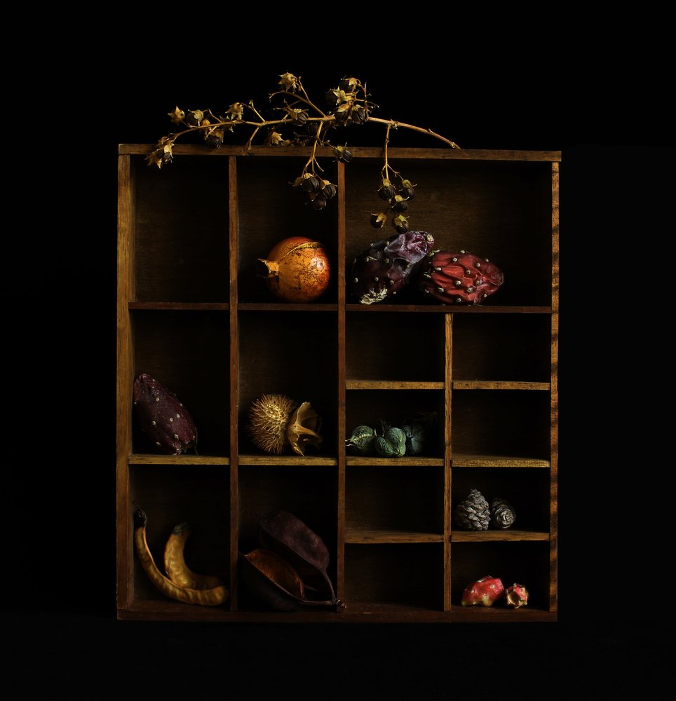Rustic Botanical Still Life