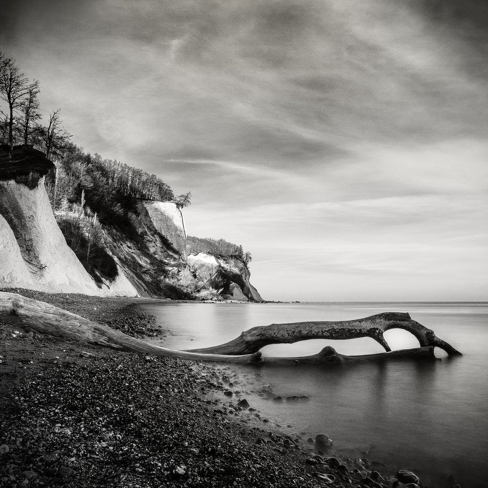 Chalk Cliffs Ocean Driftwood