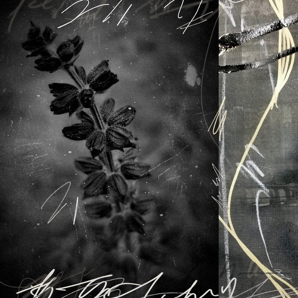 Dark Floral Grunge Abstract