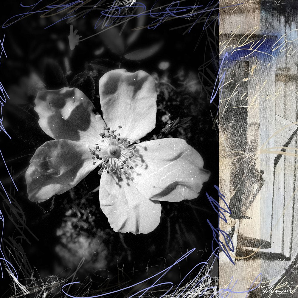 Poetic Monochrome Bloom