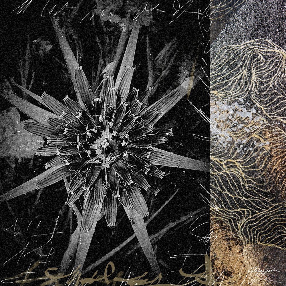 Black Gold Botanical Art