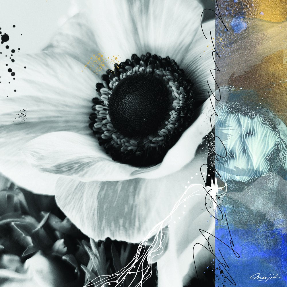 Abstract Anemone Bloom