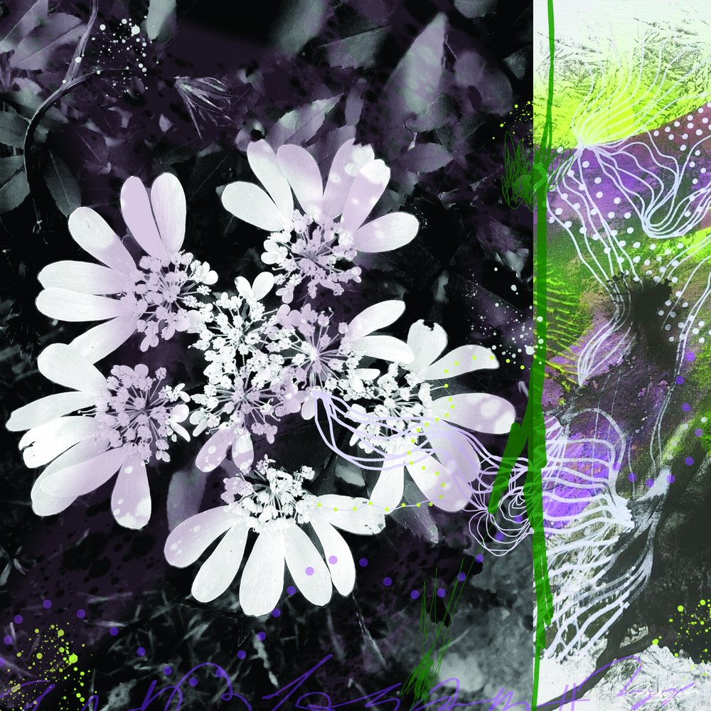 Vibrant Floral Abstraction