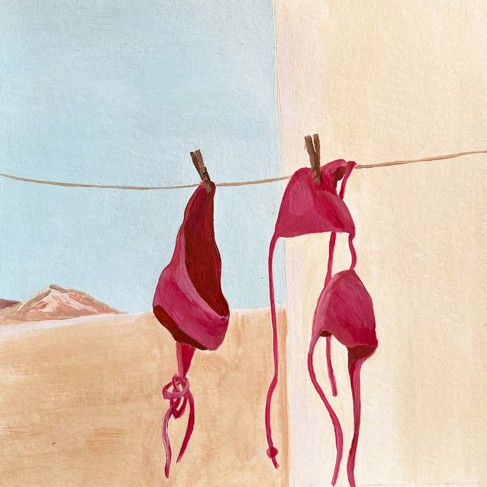 Desert Bikinis