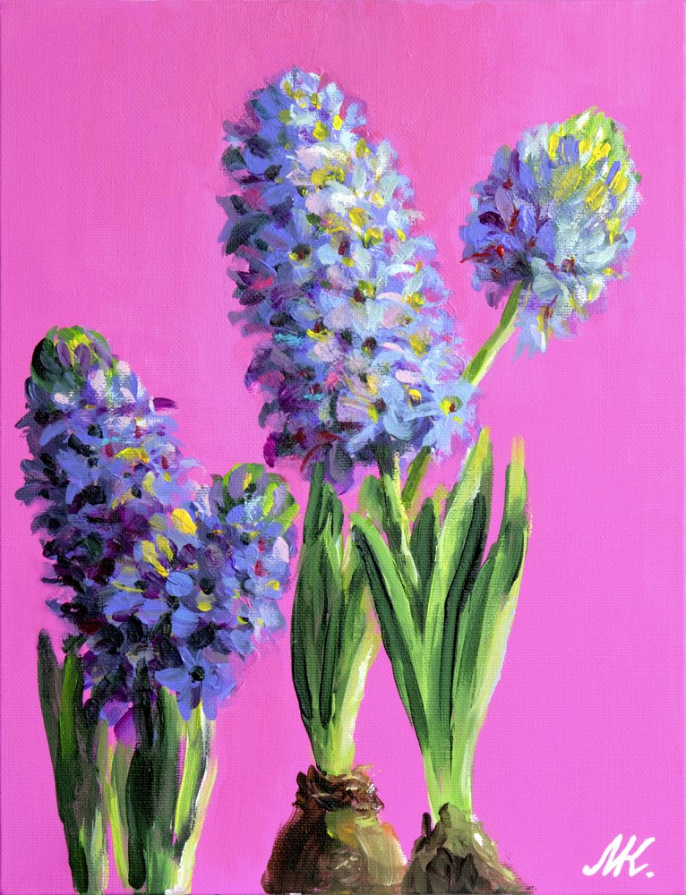 Bright Pink Hyacinths