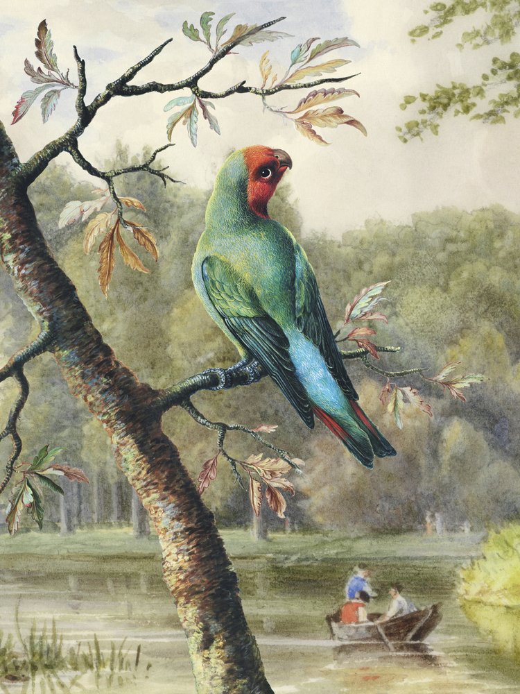 Green Parrot Lakeside Scene
