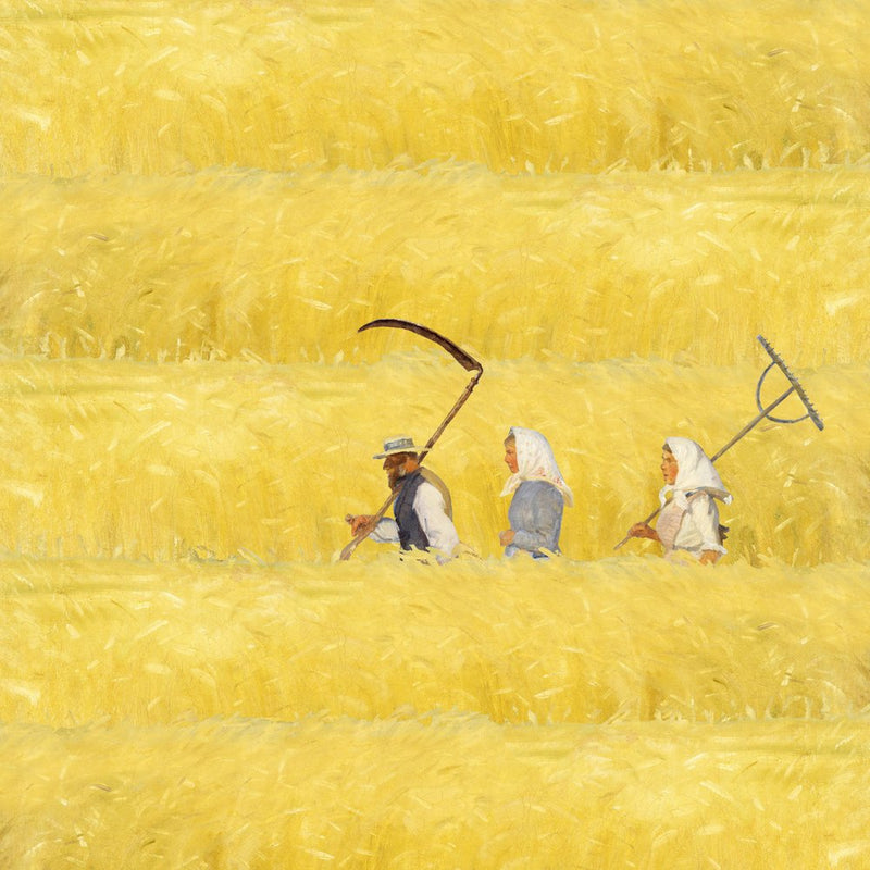 Harvesters in Golden Field