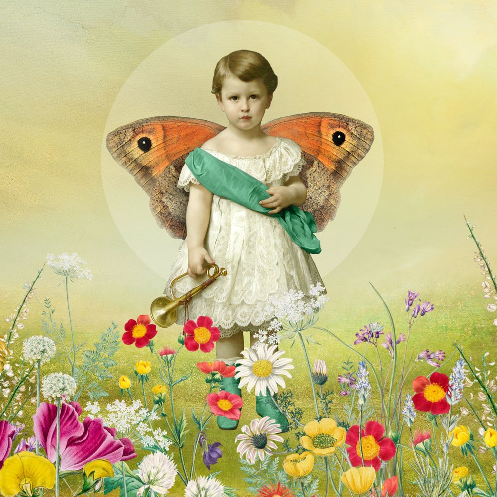 Whimsical Butterfly Boy