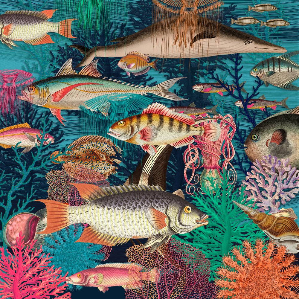 Vibrant Ocean Life