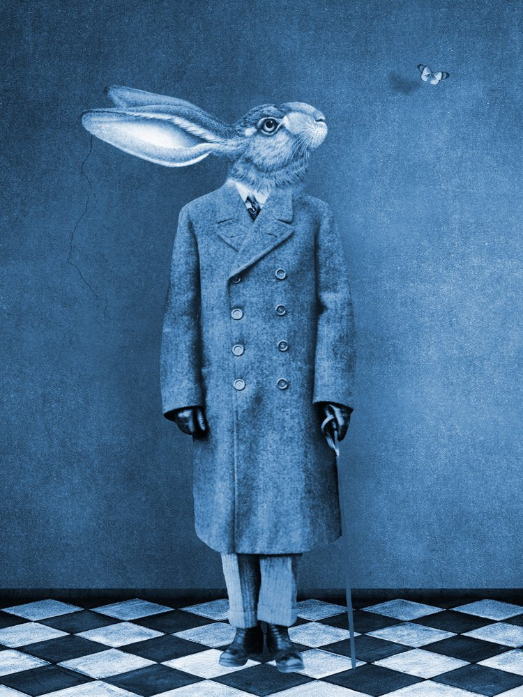 Curious Dapper Hare