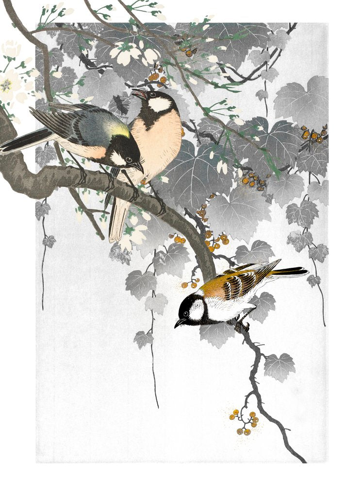 Japanese Birds on Branch
