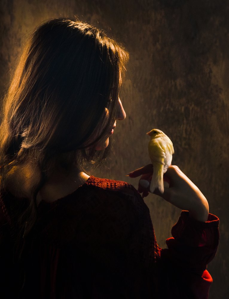 Gentle Woman and Bird