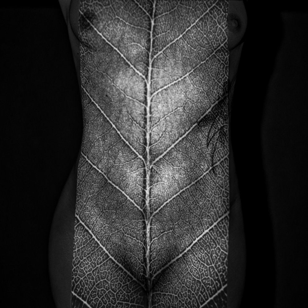 Textured Leaf Human