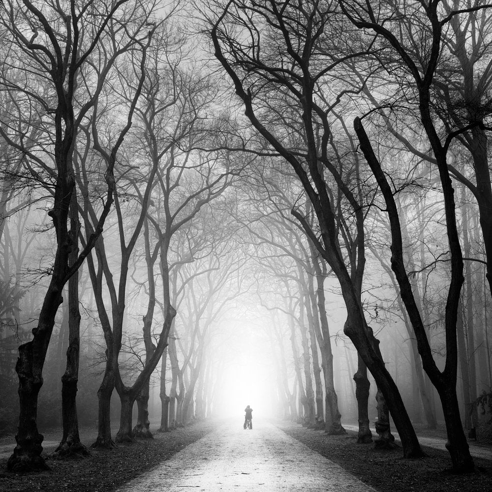 Misty Path Solitary Figure