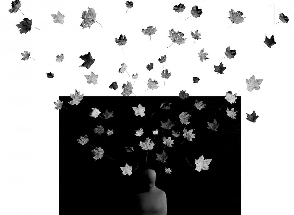 Falling Leaves Contemplation