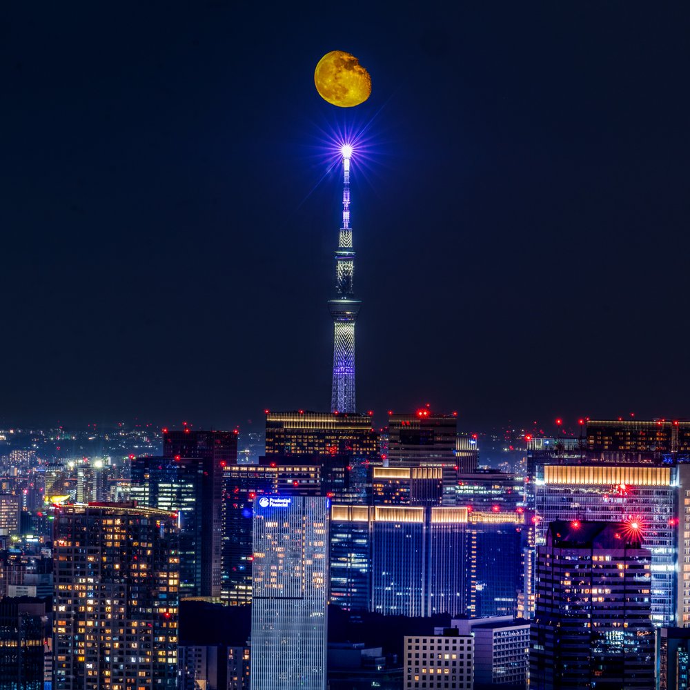 Moonlit Tokyo Night