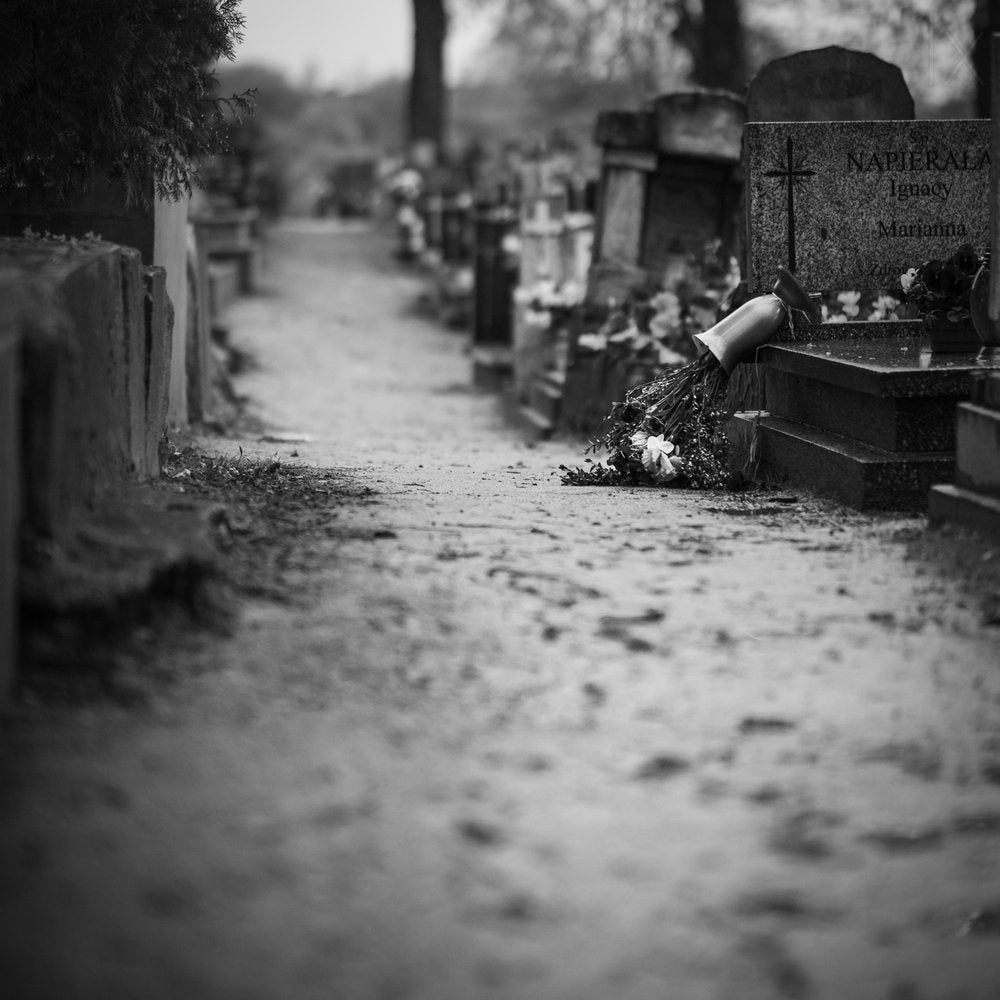 Solemn Cemetery Path