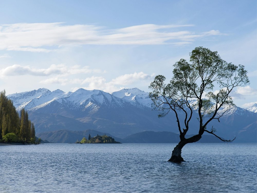 Wanaka Tree Lake Mountains