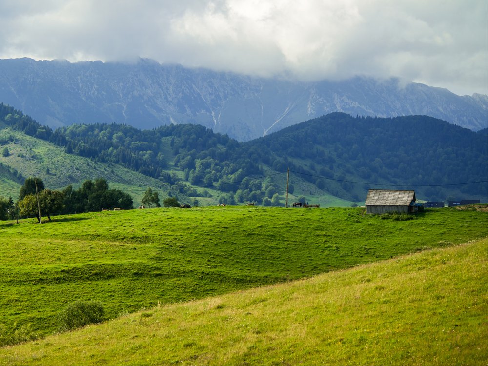 Green Mountain Pasture