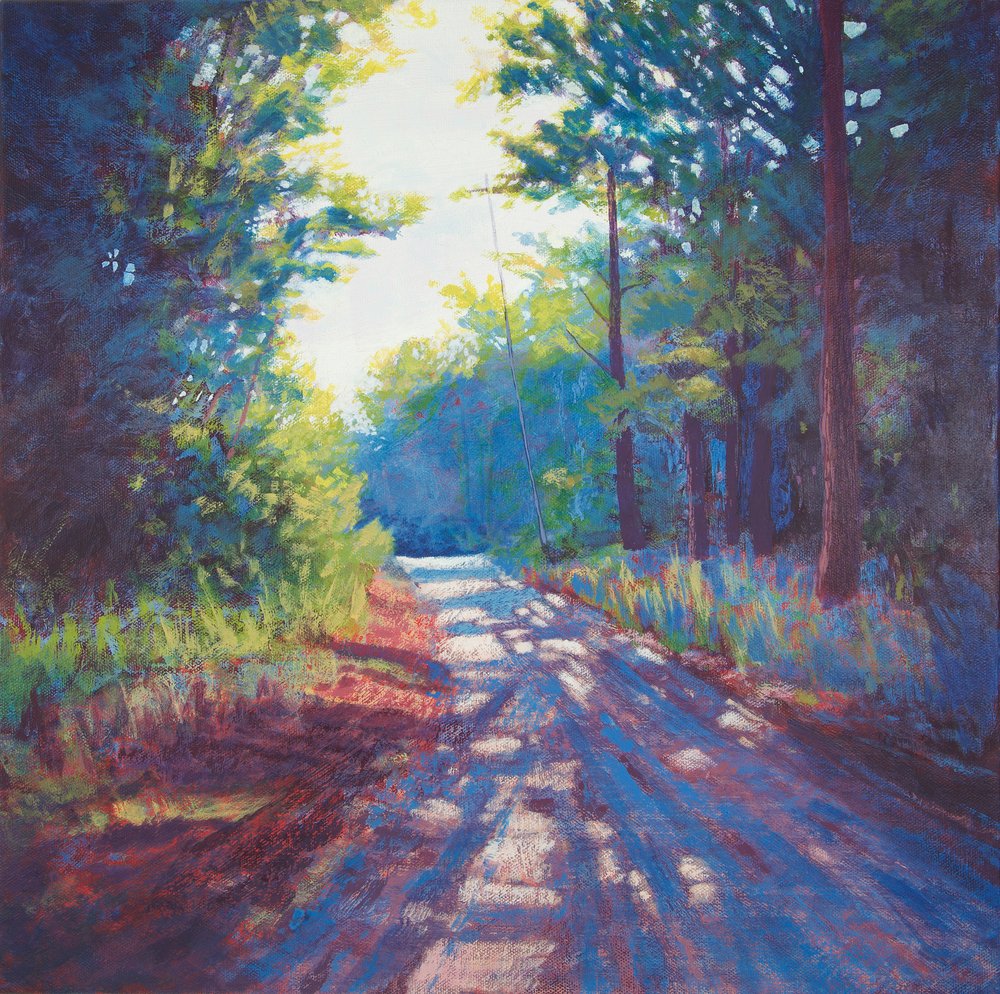 Sunlit Country Road