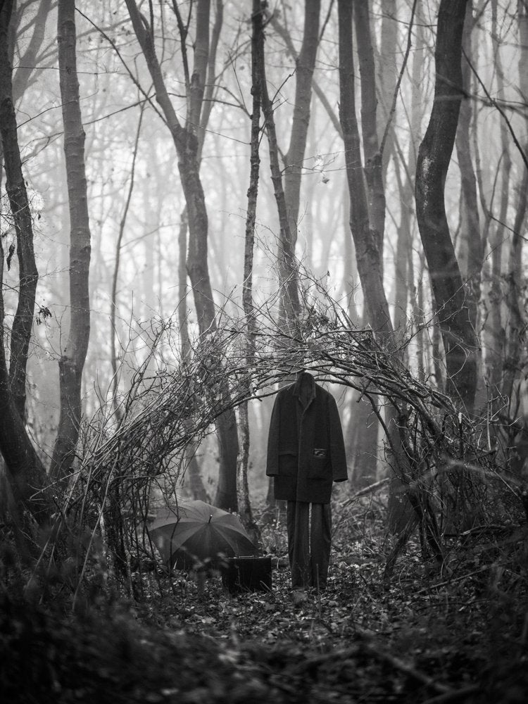 Mysterious Forest Traveler
