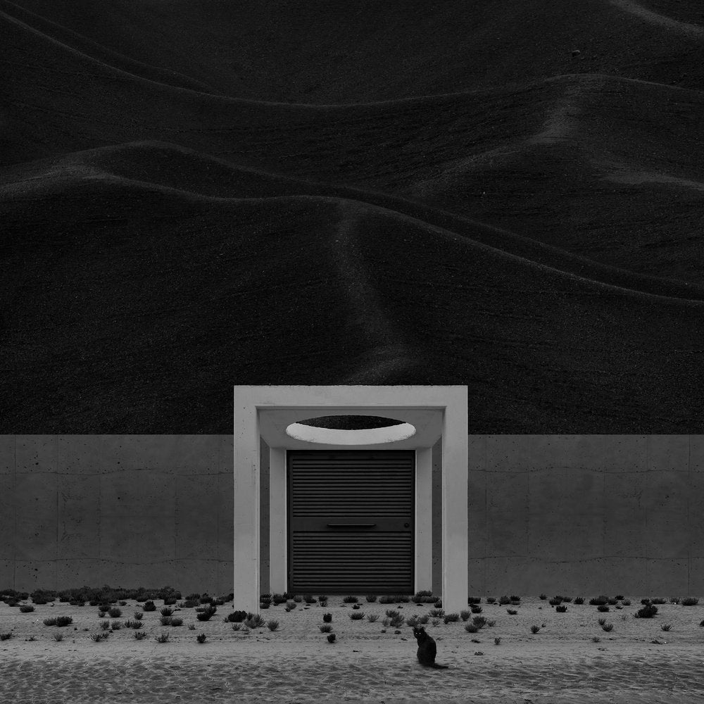 Black Cat Desert Door