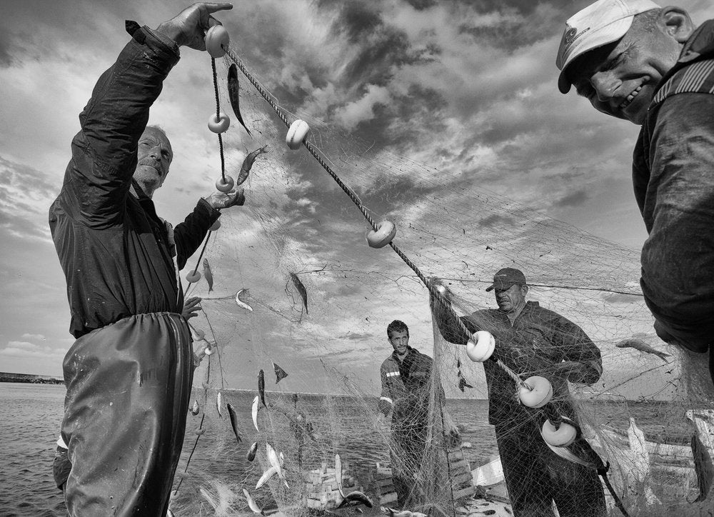Fishermen's Daily Catch