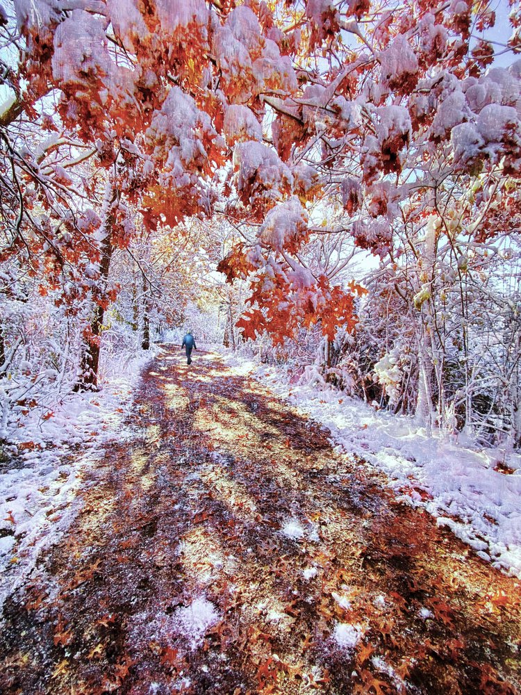 Snowy Autumn Path