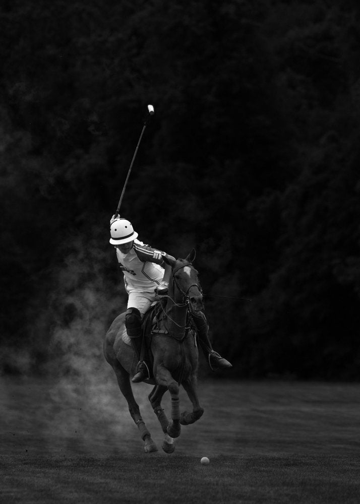 Polo Player In Action