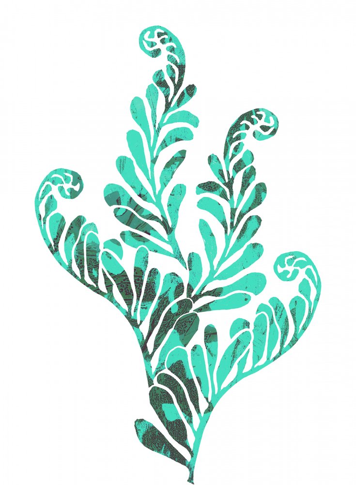 Lush Teal Botanicals