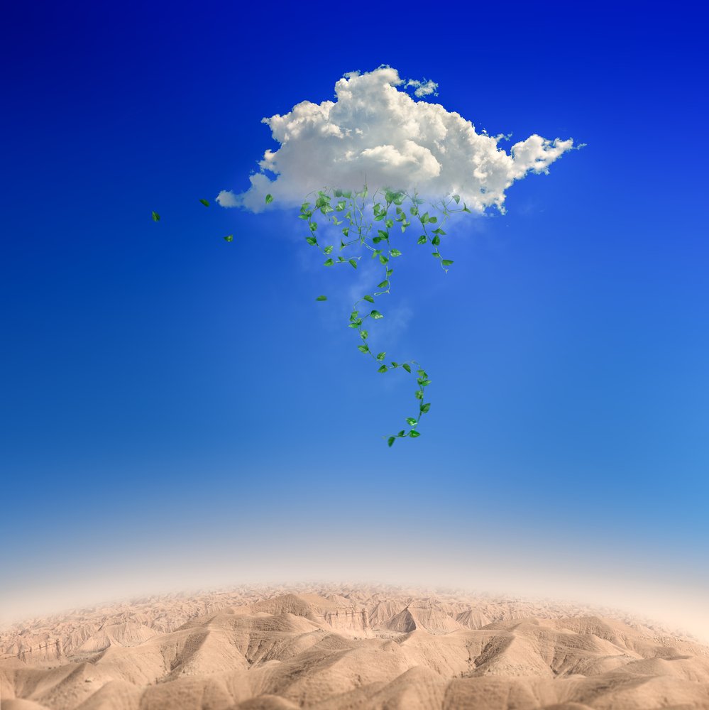 Cloud Raining Green Leaves